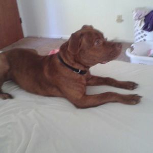 Meet your Posher, Don